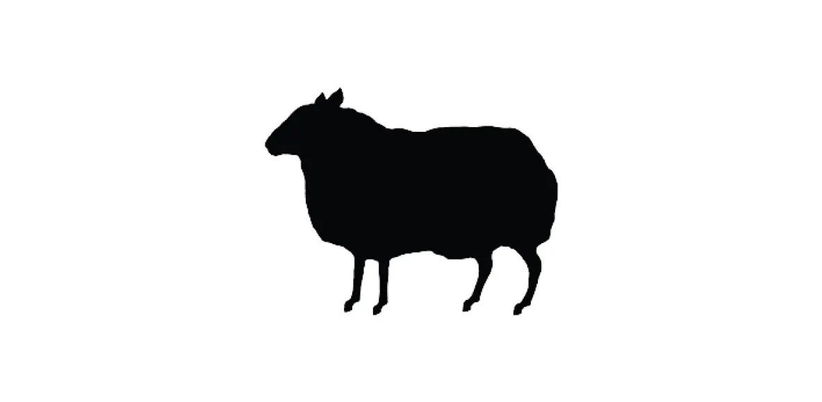 Black Sheep